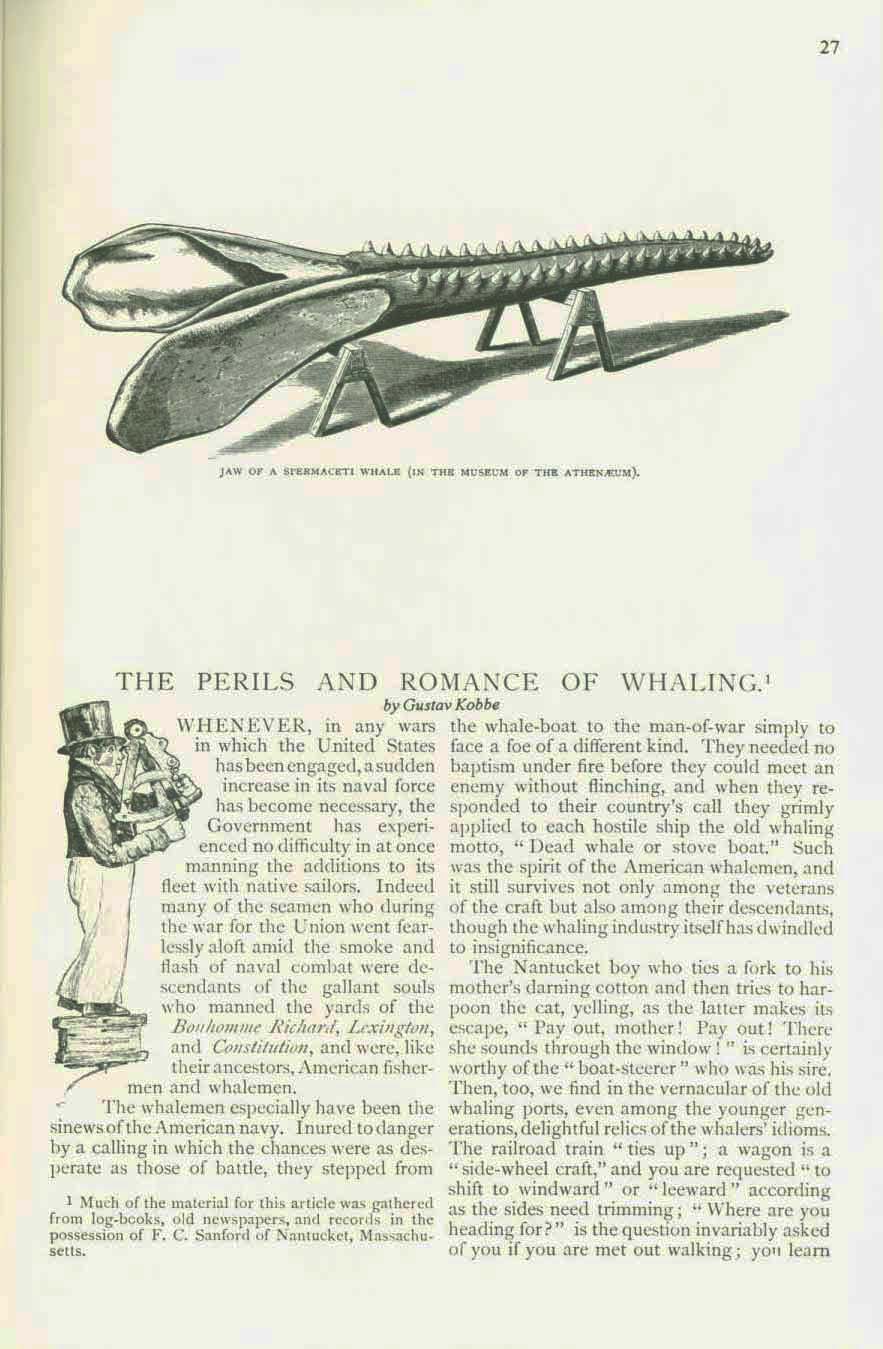 19th century whaling tales. vist0089k